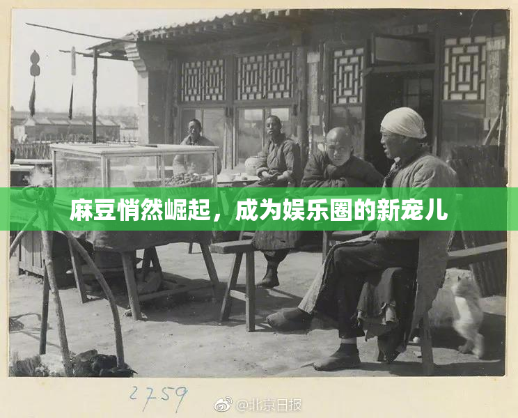 麻豆悄然崛起，成为娱乐圈的新宠儿