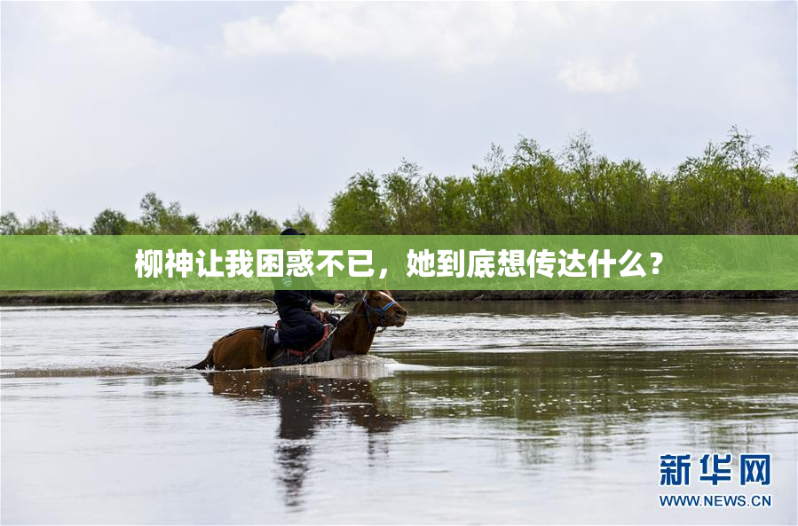 柳神让我困惑不已，她到底想传达什么？