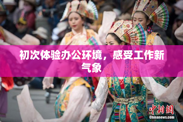 初次体验办公环境，感受工作新气象