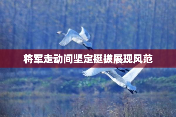 将军走动间坚定挺拔展现风范