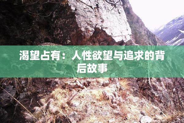 渴望占有：人性欲望与追求的背后故事