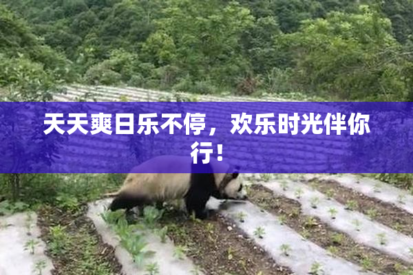 天天爽日乐不停，欢乐时光伴你行！