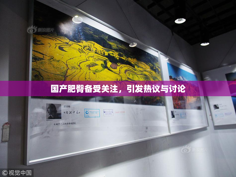 国产肥臀备受关注，引发热议与讨论