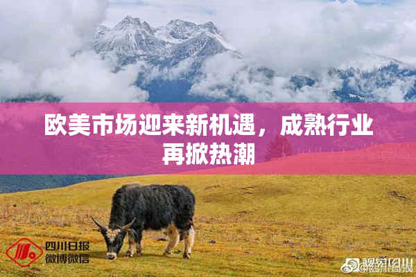 欧美市场迎来新机遇，成熟行业再掀热潮