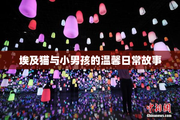 埃及猫与小男孩的温馨日常故事