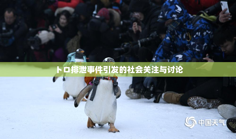トロ排泄事件引发的社会关注与讨论