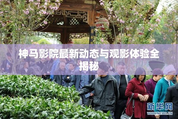 神马影院最新动态与观影体验全揭秘