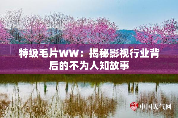 特级毛片WW：揭秘影视行业背后的不为人知故事
