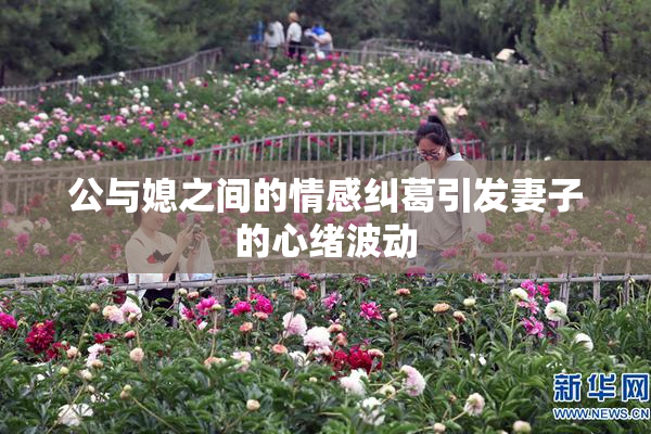 公与媳之间的情感纠葛引发妻子的心绪波动