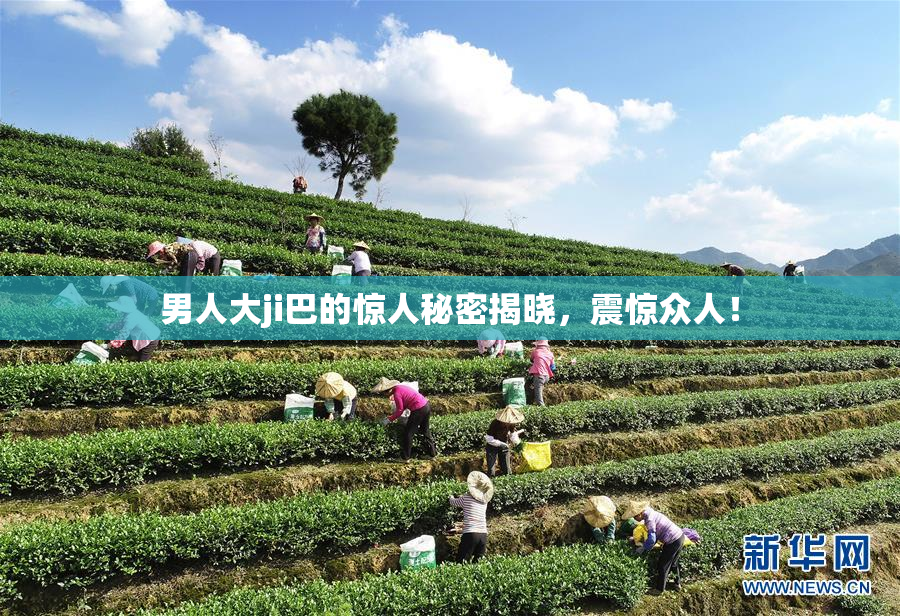 男人大ji巴的惊人秘密揭晓，震惊众人！