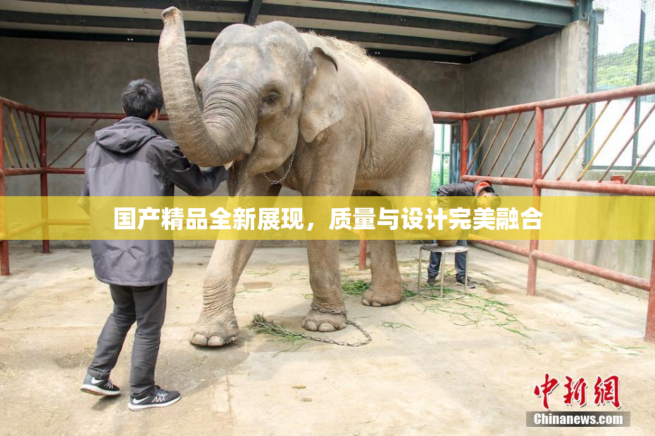 国产精品全新展现，质量与设计完美融合