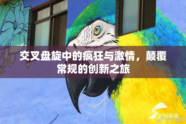 交叉盘旋中的疯狂与激情，颠覆常规的创新之旅