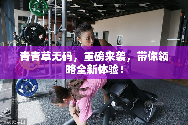 青青草无码，重磅来袭，带你领略全新体验！