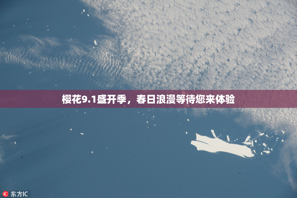 樱花9.1盛开季，春日浪漫等待您来体验