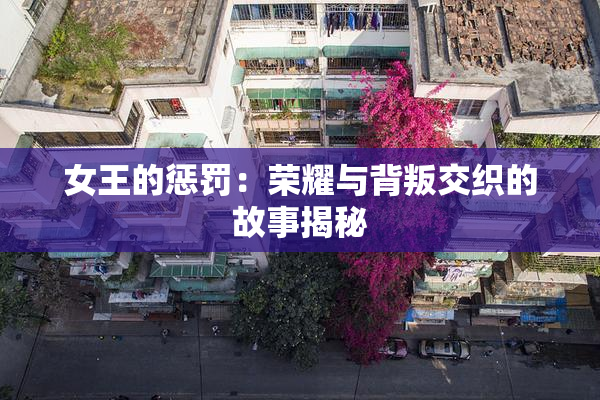 女王的惩罚：荣耀与背叛交织的故事揭秘