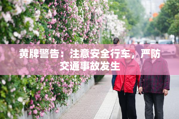 黄牌警告：注意安全行车，严防交通事故发生