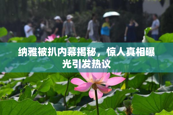 纳雅被扒内幕揭秘，惊人真相曝光引发热议