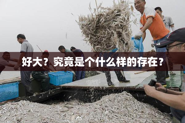 好大？究竟是个什么样的存在？