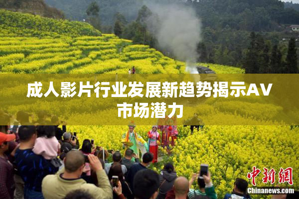 成人影片行业发展新趋势揭示AV市场潜力