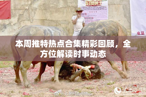 本周推特热点合集精彩回顾，全方位解读时事动态