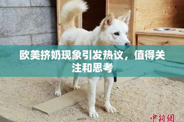欧美挤奶现象引发热议，值得关注和思考