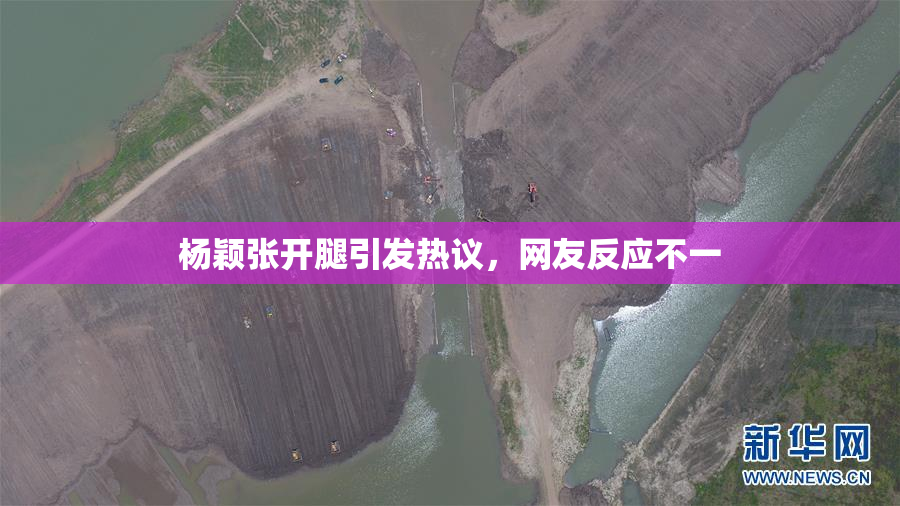 杨颖张开腿引发热议，网友反应不一