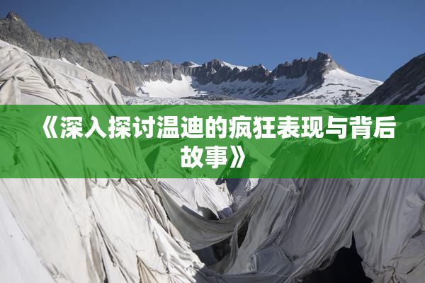 《深入探讨温迪的疯狂表现与背后故事》