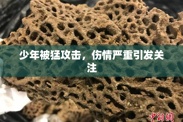 少年被猛攻击，伤情严重引发关注