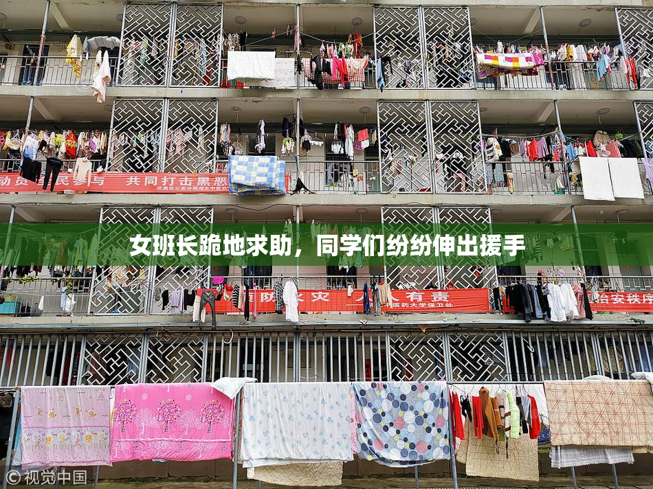 女班长跪地求助，同学们纷纷伸出援手