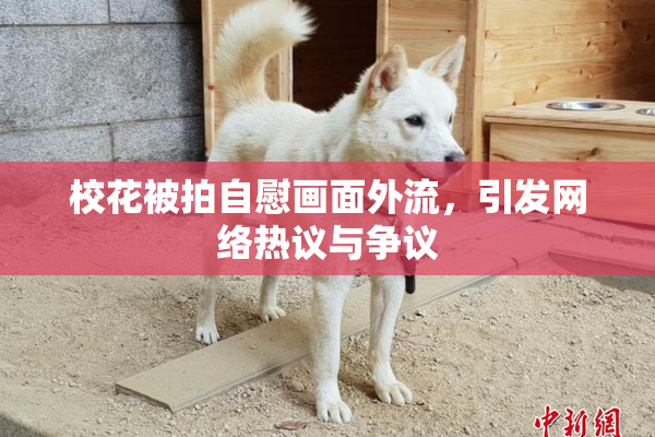 校花被拍自慰画面外流，引发网络热议与争议