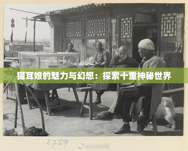 猫耳娘的魅力与幻想：探索十重神秘世界
