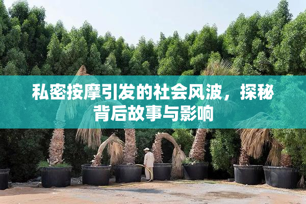私密按摩引发的社会风波，探秘背后故事与影响