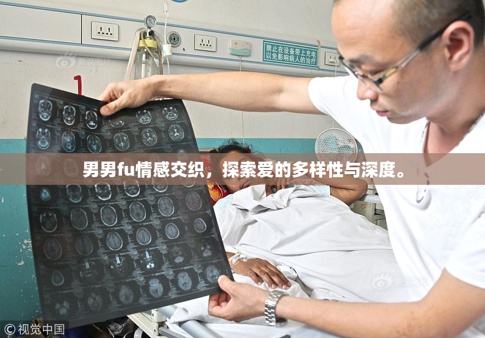 男男fu情感交织，探索爱的多样性与深度。