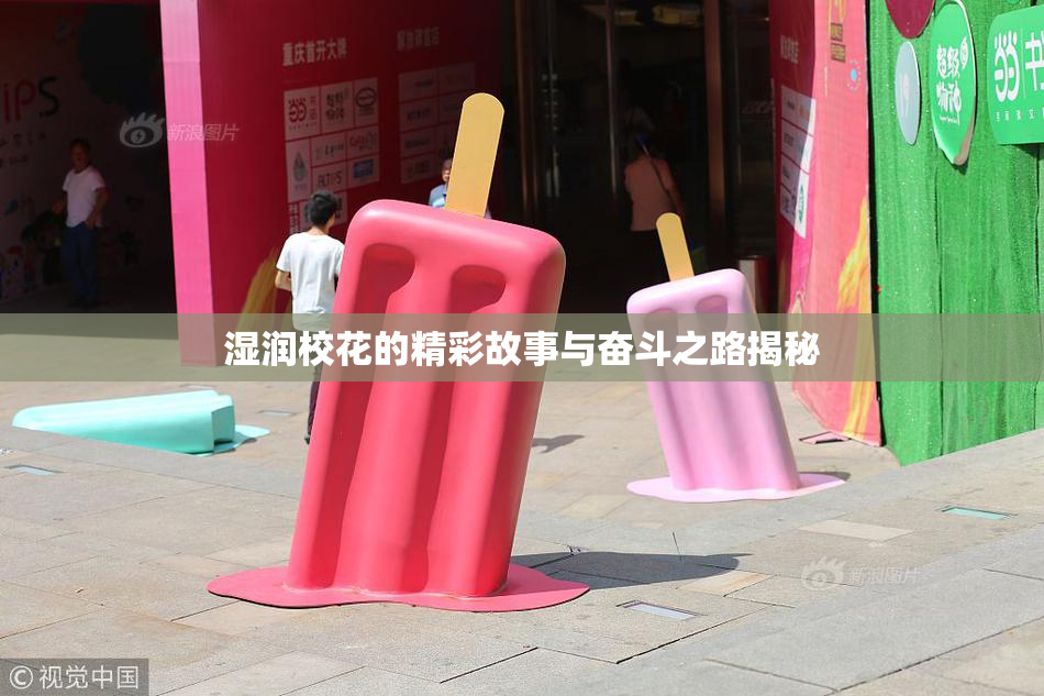 湿润校花的精彩故事与奋斗之路揭秘