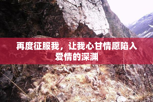 再度征服我，让我心甘情愿陷入爱情的深渊