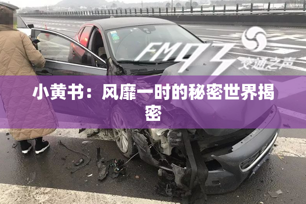 小黄书：风靡一时的秘密世界揭密