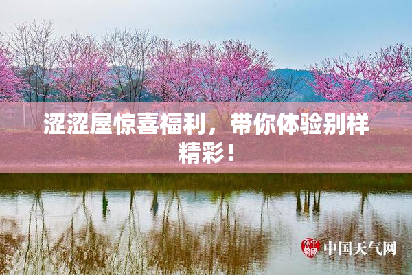 涩涩屋惊喜福利，带你体验别样精彩！