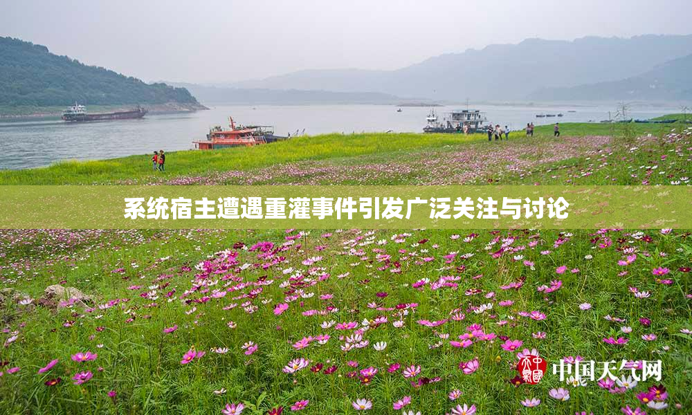 系统宿主遭遇重灌事件引发广泛关注与讨论