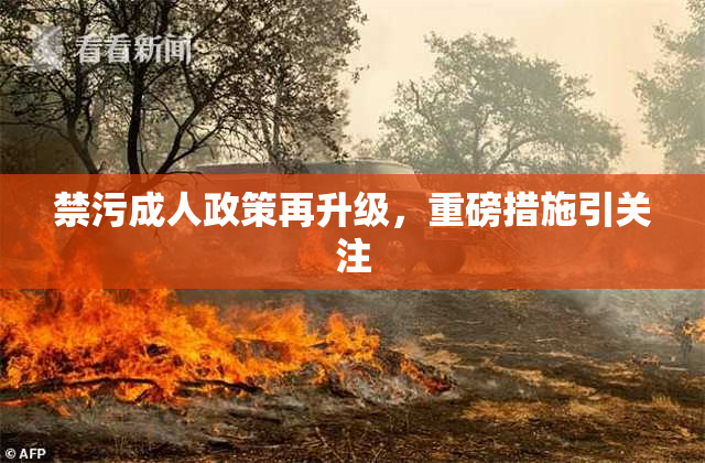 禁污成人政策再升级，重磅措施引关注