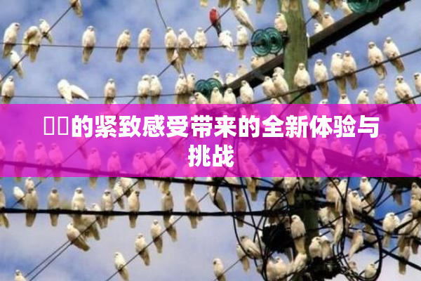 妺妺的紧致感受带来的全新体验与挑战