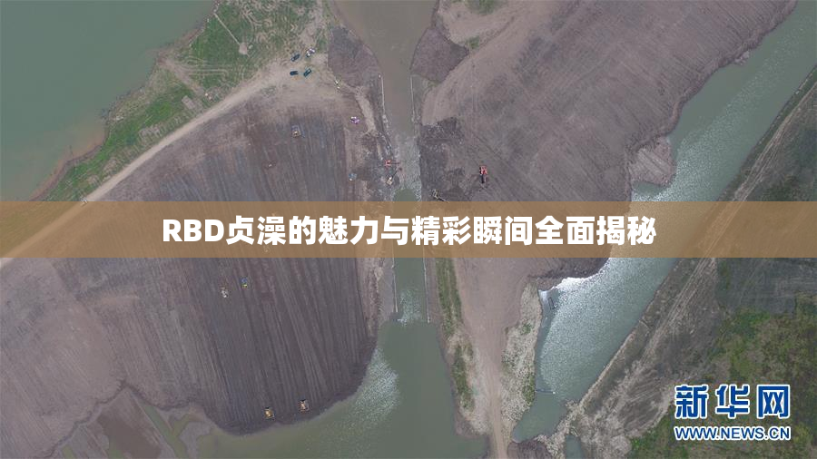 RBD贞澡的魅力与精彩瞬间全面揭秘
