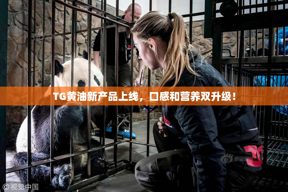 TG黄油新产品上线，口感和营养双升级！