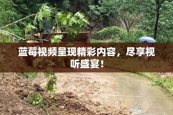 蓝莓视频呈现精彩内容，尽享视听盛宴！