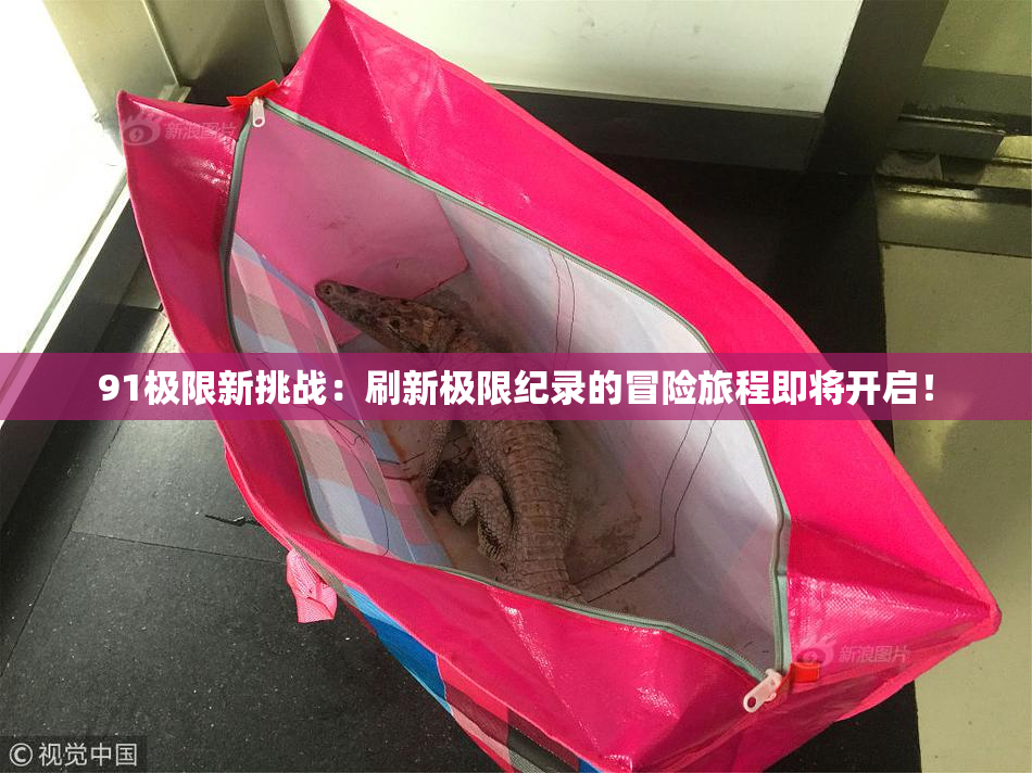91极限新挑战：刷新极限纪录的冒险旅程即将开启！