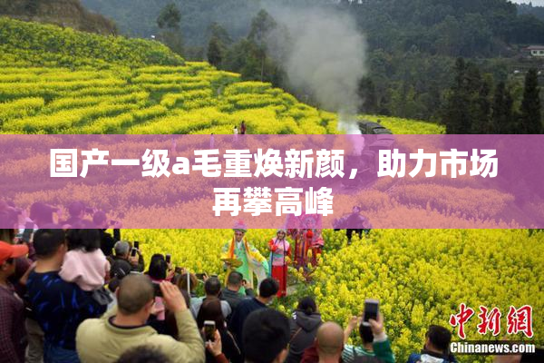 国产一级a毛重焕新颜，助力市场再攀高峰