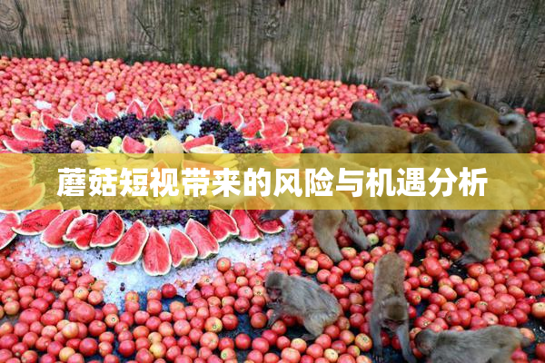 蘑菇短视带来的风险与机遇分析