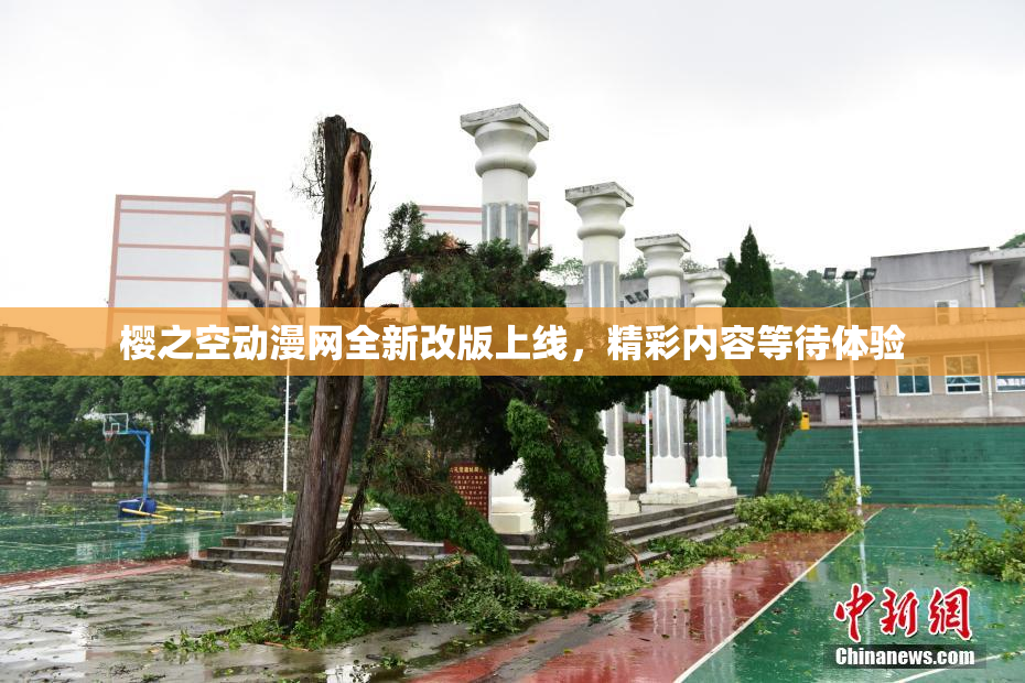 樱之空动漫网全新改版上线，精彩内容等待体验