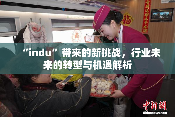 “indu”带来的新挑战，行业未来的转型与机遇解析