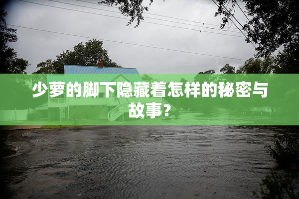 少萝的脚下隐藏着怎样的秘密与故事？