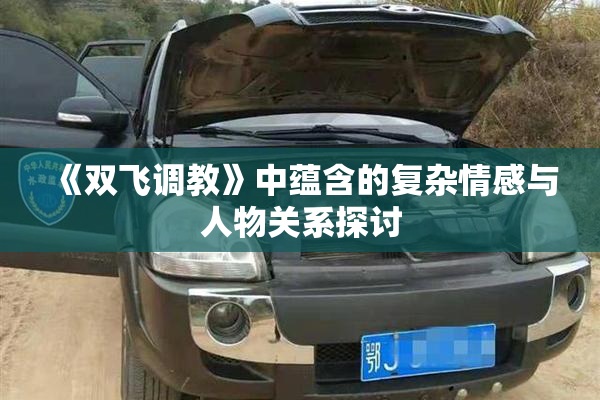 《双飞调教》中蕴含的复杂情感与人物关系探讨